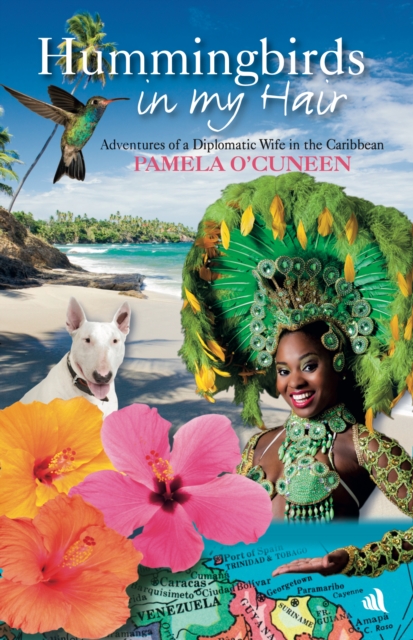 Hummingbirds in My Hair - Pamela O'cuneen