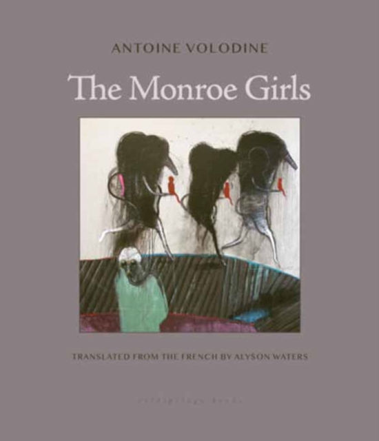 Coperta cărții 'The Monroe Girls - Antoine Volodine'
