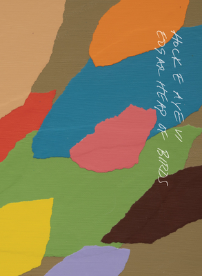 Coperta cărții 'Hock E Aye VI Edgar Heap of Birds: Honor Song - Hock E. Aye Vi Edgar Heap Of Birds'