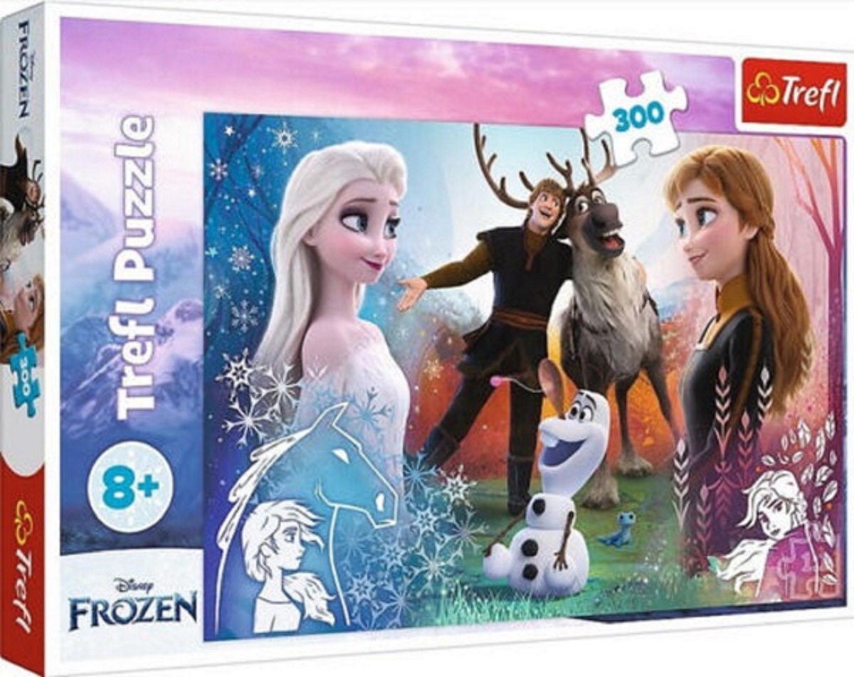Puzzle 300. Magia Frozen 2