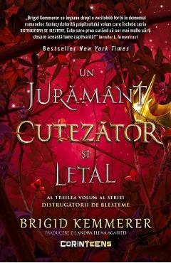 Poza produsului eBook Un juramant cutezator si letal. Seria Distrugatorii de blesteme Vol.3 - Brigid Kemmerer