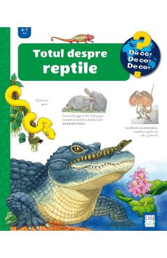 Poza produsului Totul despre reptile - Patricia Mennen