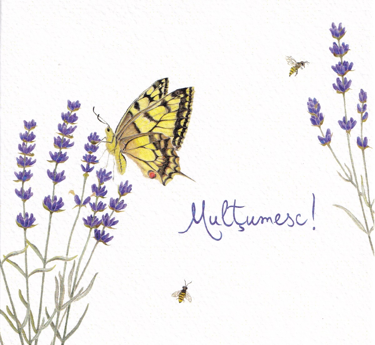 Felicitare: Multumesc cu lavanda