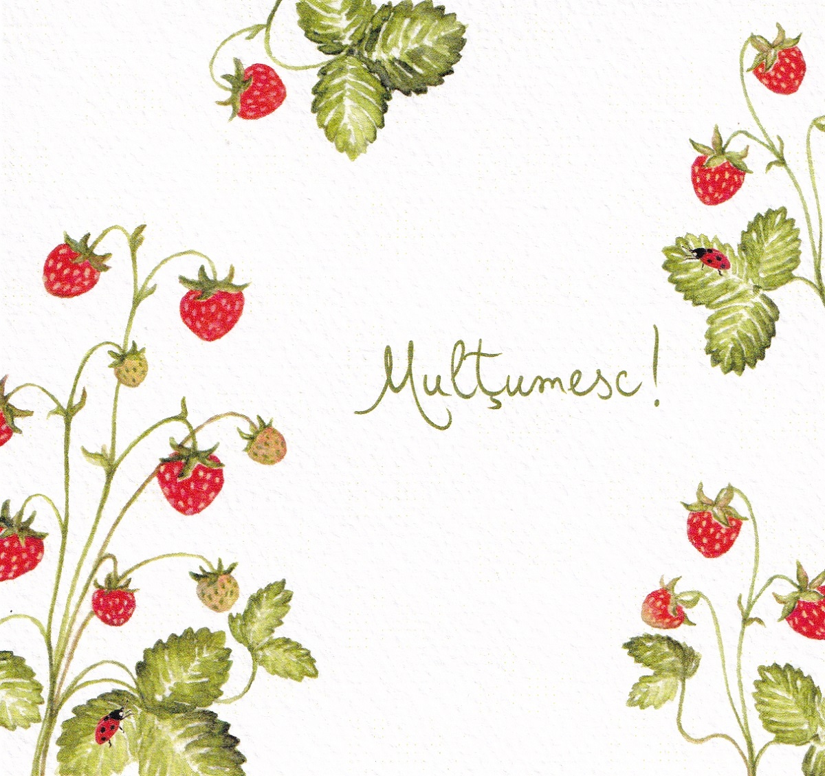 Felicitare: Multumesc cu fragi