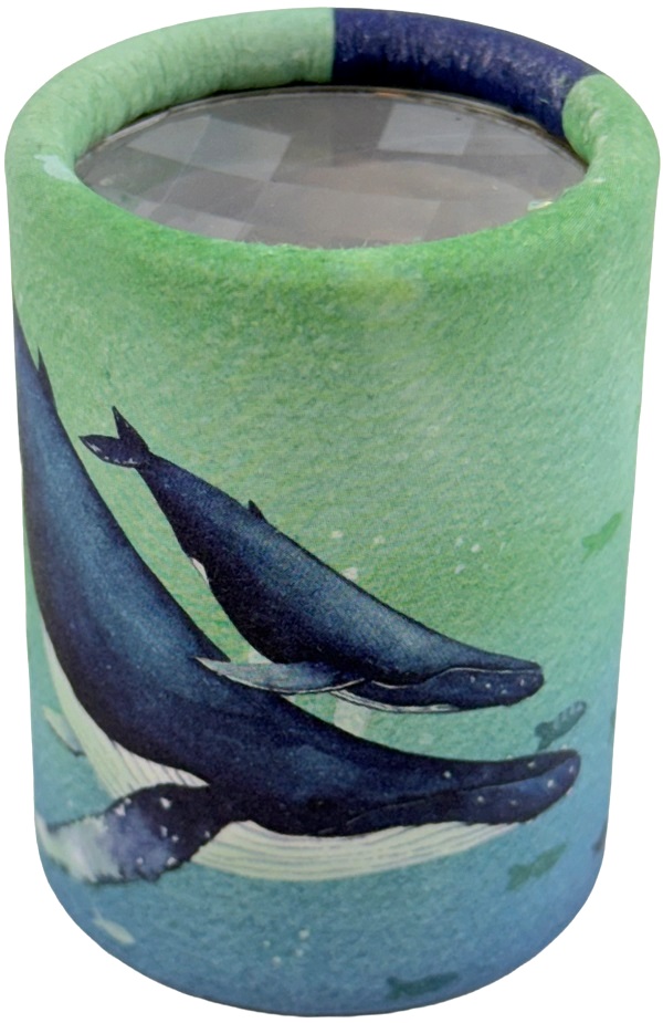 Mini-Caleidoscop: Balene