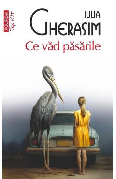 Coperta cărții 'Ce văd păsările - Iulia Gherasim'