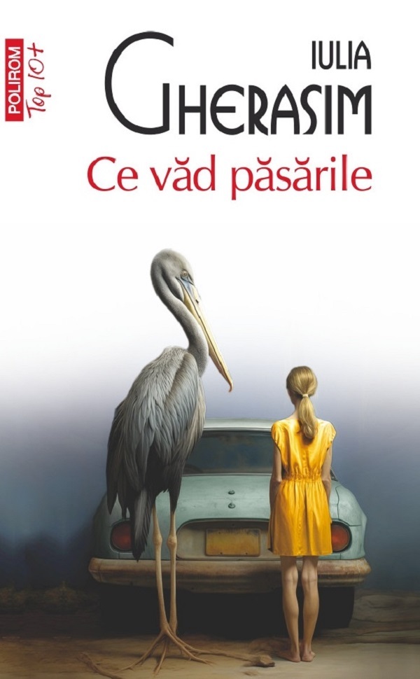 Ce vad pasarile - Iulia Gherasim