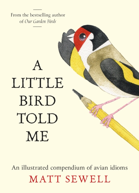 Coperta cărții 'Little Bird Told Me - Matt Sewell'
