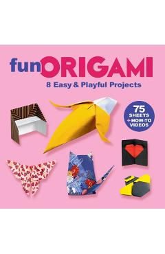 Coperta cărții 'Fun Origami - Nick Robinson'