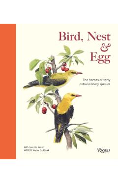 Coperta cărții 'Bird, Nest & Egg - Walter De|raedt Raedt'