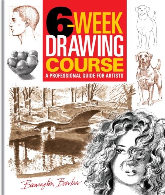 6-Week Drawing Course - Barrington Barber