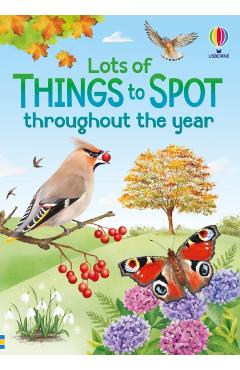 Coperta cărții 'Lots of Things to Spot throughout the year - Lara|tudhope Bryan'