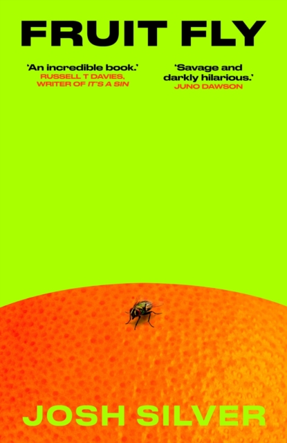 Coperta cărții 'Fruit Fly - Josh Silver'