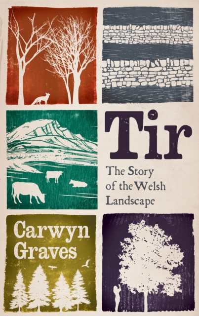 Coperta cărții 'Tir - Carwyn Graves'