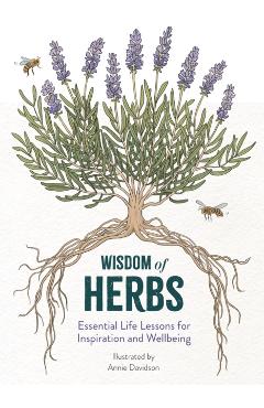 Coperta cărții 'Wisdom of Herbs - Alison Davies'