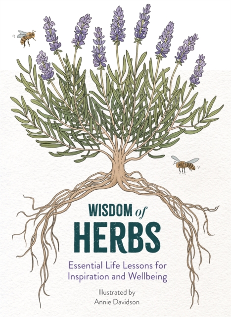 Coperta cărții 'Wisdom of Herbs - Alison Davies'