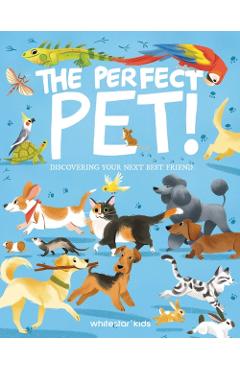 Coperta cărții 'Perfect Pet! - Rachel|villa Foo'