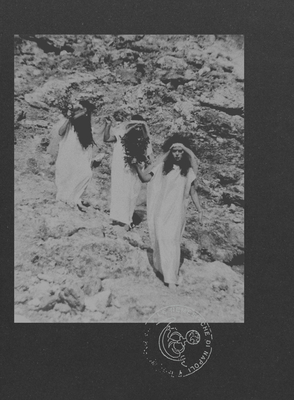 Coperta cărții 'Le Nemesiache: Reclaiming Mythological Rituals - Sonia D'alto'