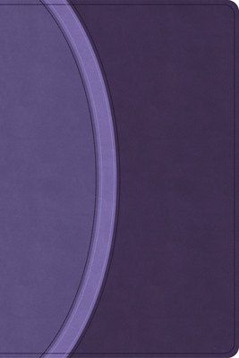 CSB Rainbow Study Bible, Purple Leathertouch (Limited Edition) - 