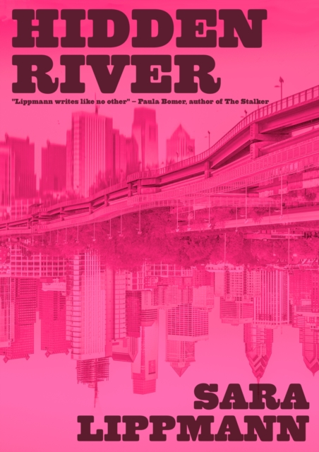Coperta cărții 'Hidden River - Sara Lippmann'