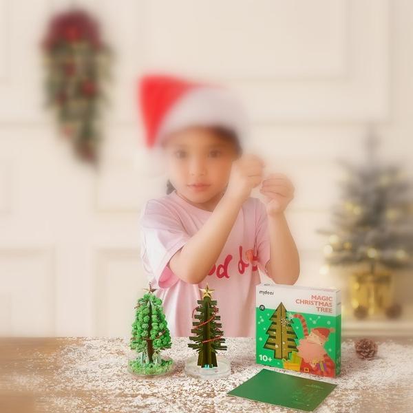 Set creativ stem cu sare. Magic Christmas Tree