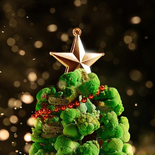 Set creativ stem cu sare. Magic Christmas Tree