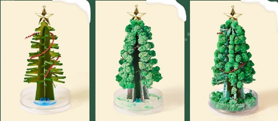 Set creativ stem cu sare. Magic Christmas Tree