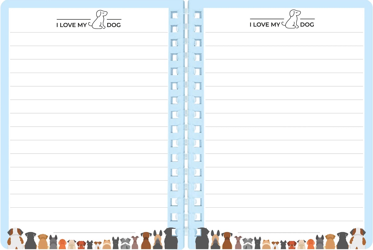 Set memo Mini Meow. Catel maro cret