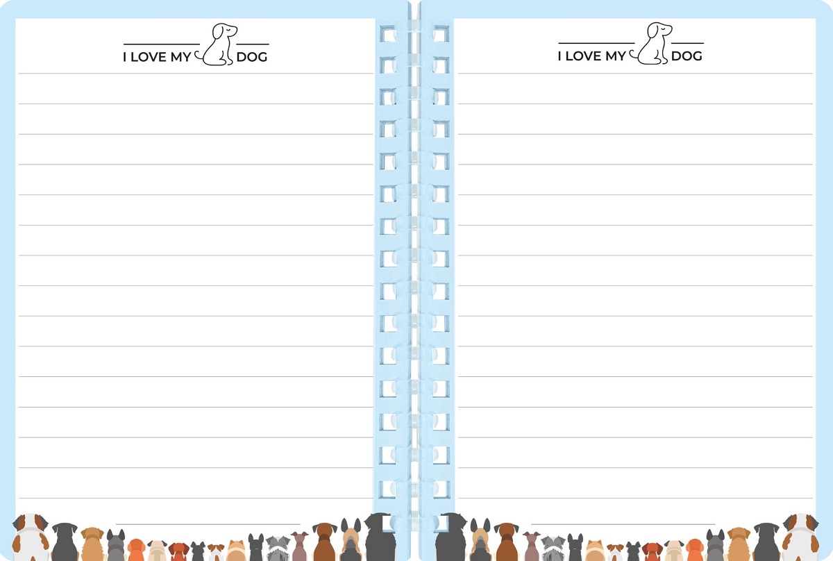 Set memo Mini Meow. Catel bej