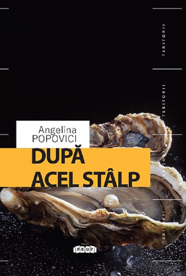 Dupa acel stalp - Angelina Popovici