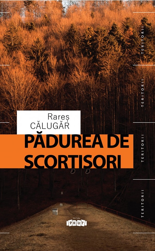 Padurea de scortisori - Rares Calugar
