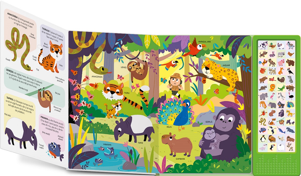 Cum vorbesc animalele. Cine face galagie? Carte sonora