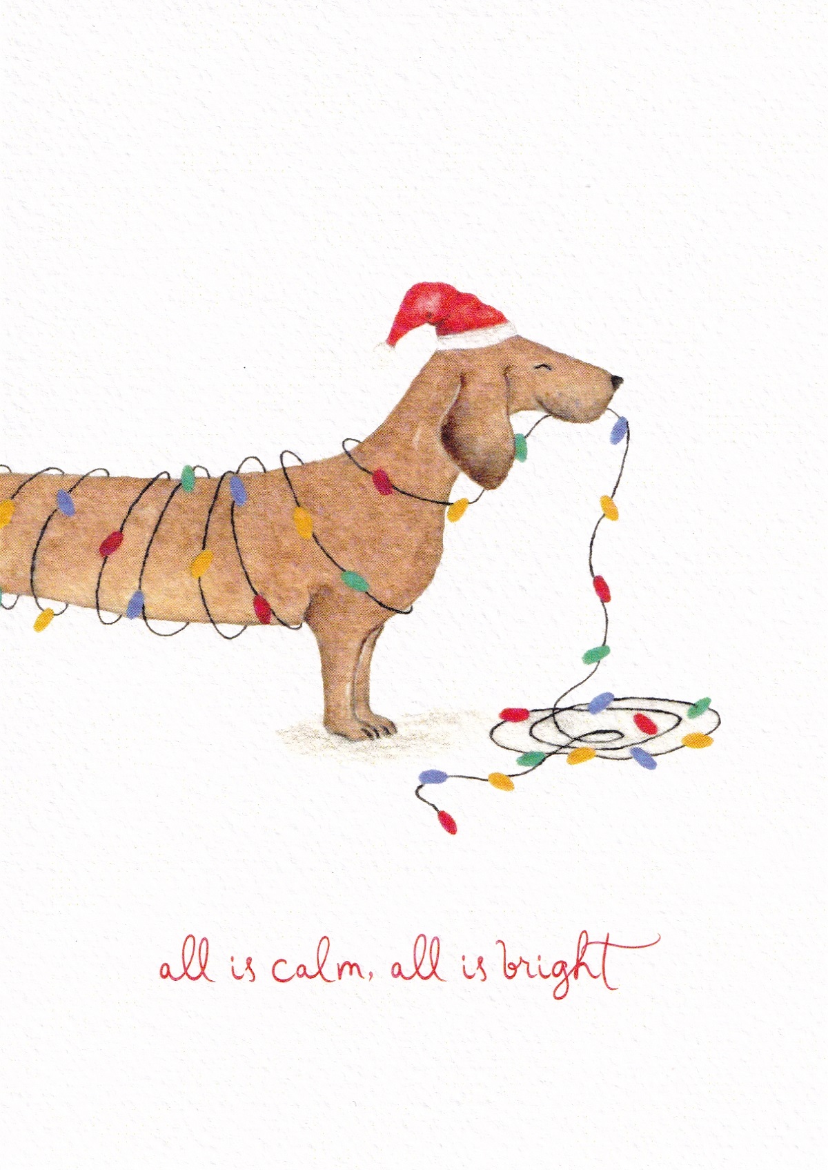 Felicitare: Teckel. All is Calm, All is Bright