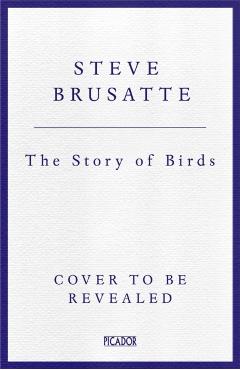 Story of Birds