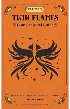 Coperta cărții 'In Focus Twin Flames - Sabina Strauss'