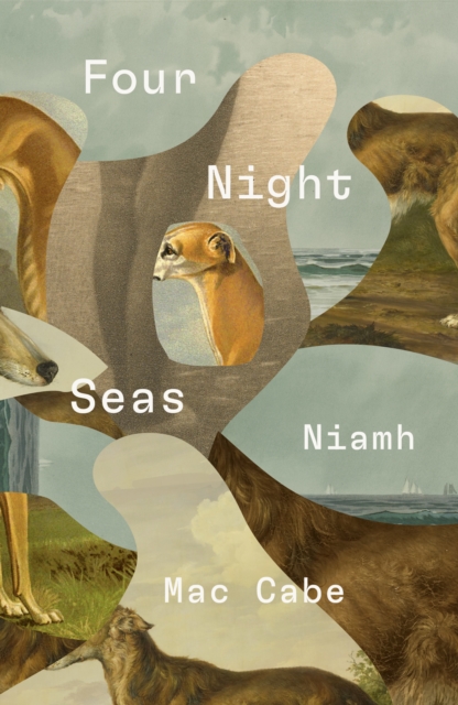 Coperta cărții 'Four Night Seas - Niamh Mac Cabe'