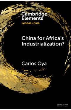 Poza produsului China for Africa's Industrialization? - Carlos Oya