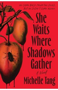 Coperta cărții 'She Waits Where Shadows Gather - Michelle Tang'