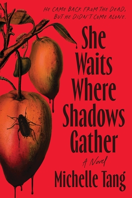 Coperta cărții 'She Waits Where Shadows Gather - Michelle Tang'