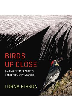 Coperta cărții 'Birds Up Close: An Engineer Explores Their Hidden Wonders - Lorna Gibson'