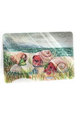 Poza produsului Felicitare: Rainy Day