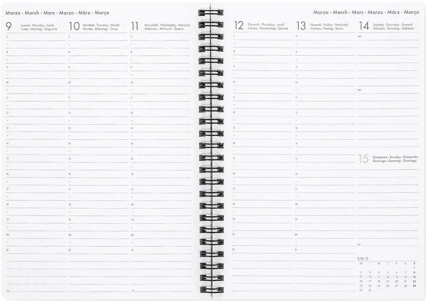 Agenda cu spirala 2026. Cats rule the World