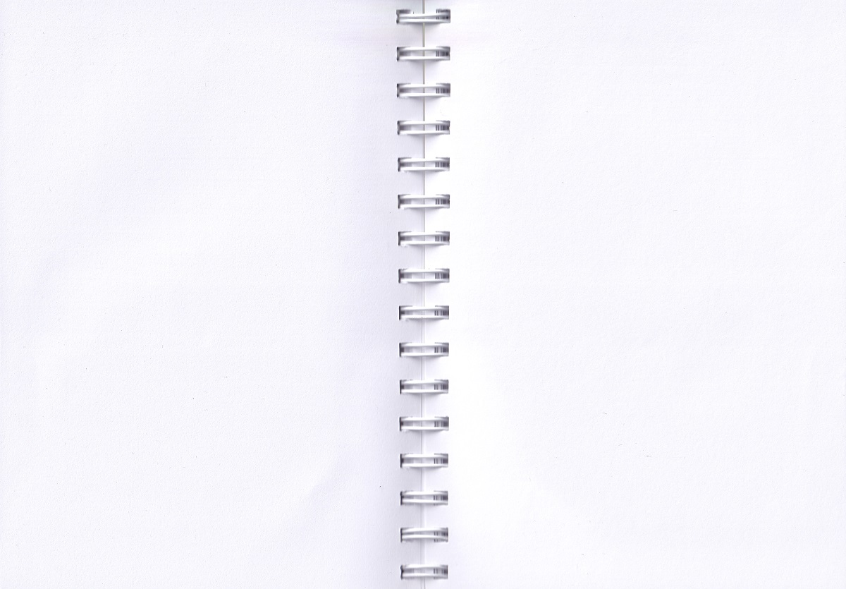 Jurnal cu spirala. Marvellous Moggies