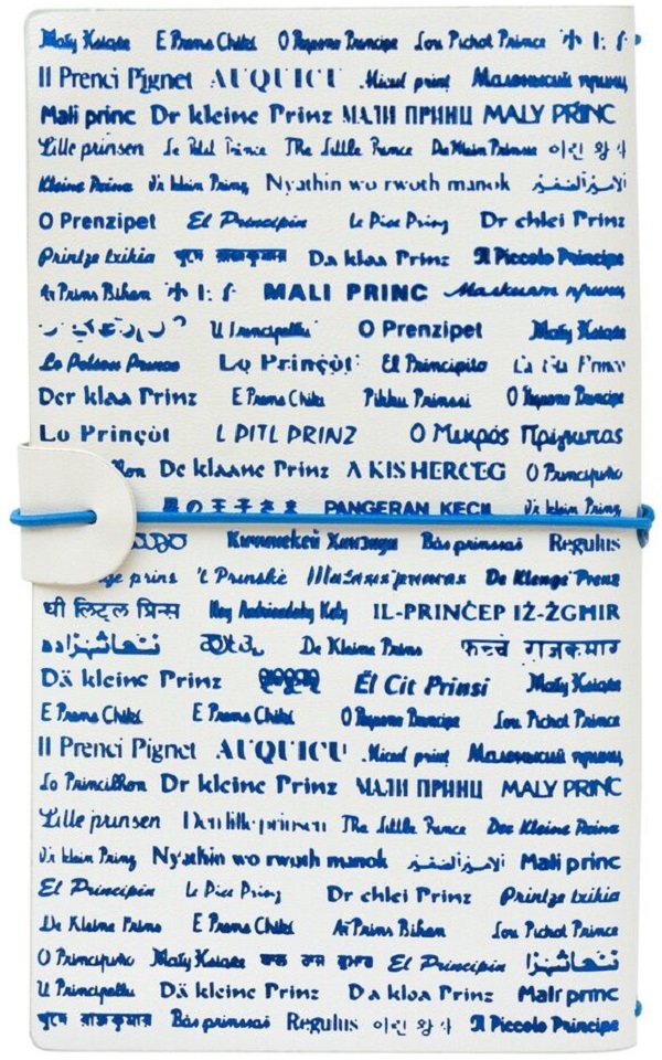 Jurnal de calatorie: Micul Print