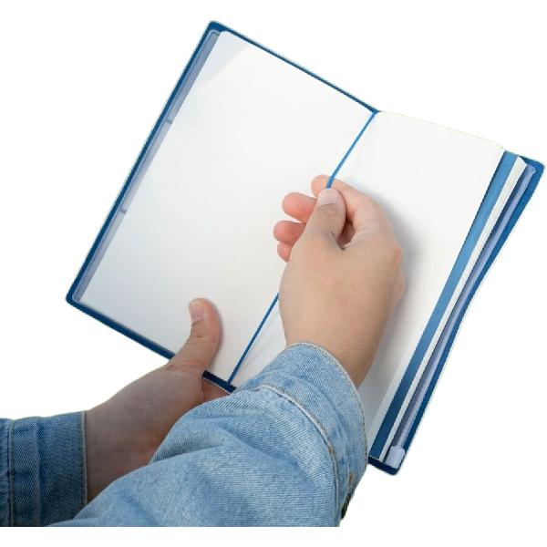 Jurnal de calatorie: Micul Print