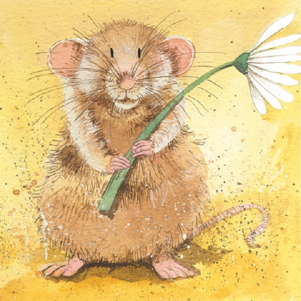 Carte postala: Malcolm soricelul