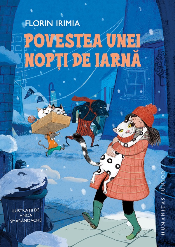 Povestea unei nopti de iarna - Florin Irimia