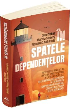 Poza produsului In spatele dependentelor - Cece Sykes, Martha Sweezy, Richard C. Schwartz