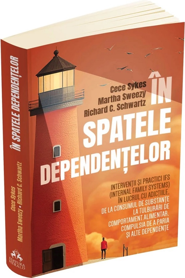 In spatele dependentelor - Cece Sykes, Martha Sweezy, Richard C. Schwartz