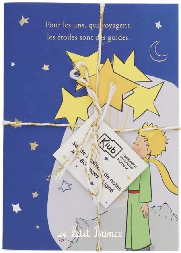 Set 3 carnete Micul Print